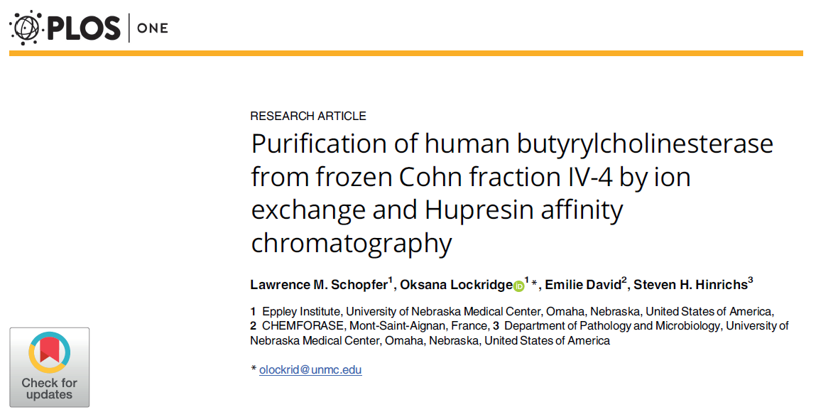 Large-scale purification of human BChE from frozen Cohn fraction IV-4 using Hupresin®