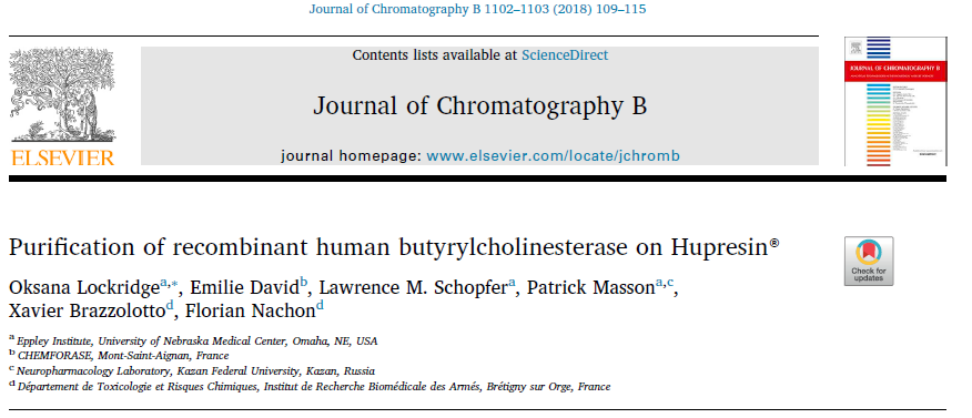 Purification of recombinant human butyrylcholinesterase on Hupresin®